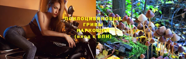 дурь Балабаново