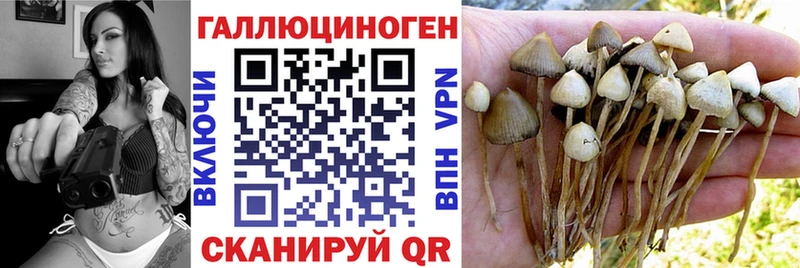 Галлюциногенные грибы Psilocybe  omg онион  Черняховск 